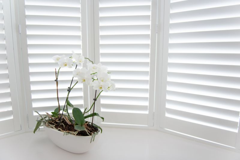 Interior Shutters Installation in Arvada, CO